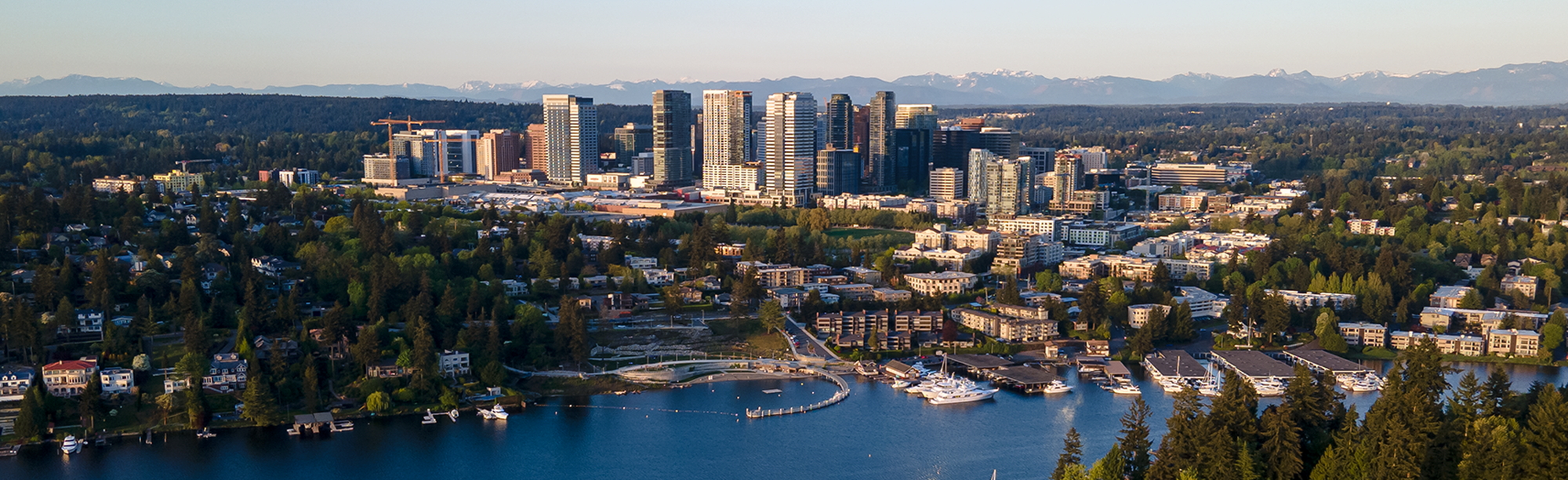 Bellevue8_banner