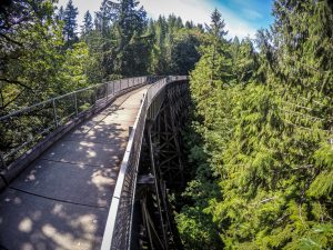 DCIM100GOPROGOPR0604.