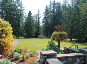 Sammamish2